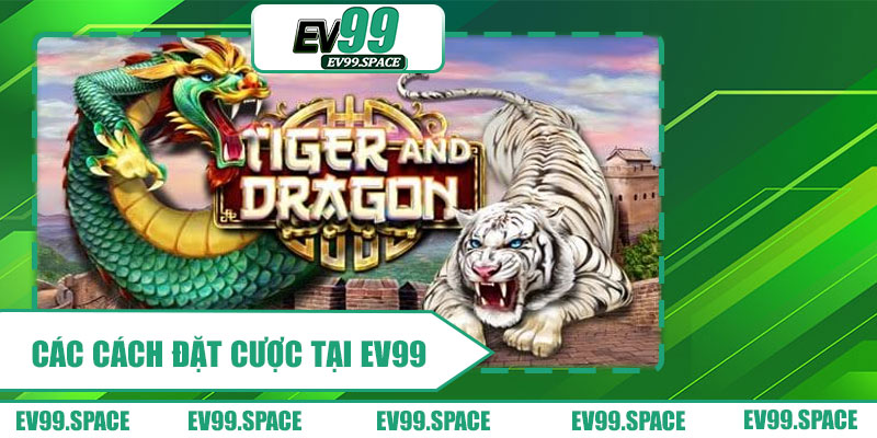 Các Cách Đặt Cược Tại EV99